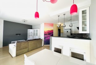 salon z kuchnią 2